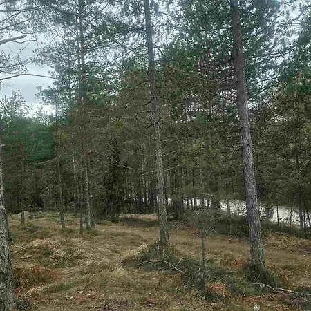 Sumor Sume - Tara 2 Lodge *